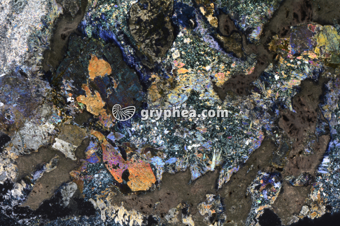 Métagabbro à Glaucophanite LPA x3,5 - gryphea.com